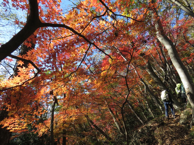 奥久慈・男体山